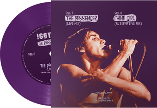 Vinyl Passenger   Purple Book