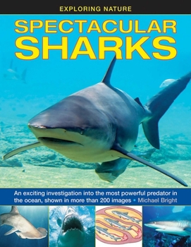 Hardcover Spectacular Sharks: An Exciting Investigation Into the Most Powerful Predator in the Ocean, Shown in More Than 200 Images Book