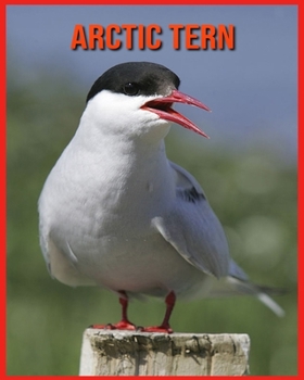 Paperback Arctic Tern: Amazing Photos & Fun Facts Book About Arctic Tern For Kids Book