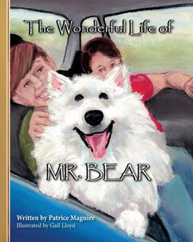 Paperback The Wonderful Life of Mr. Bear Book