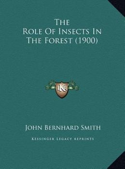 The Role Of Insects In The Forest