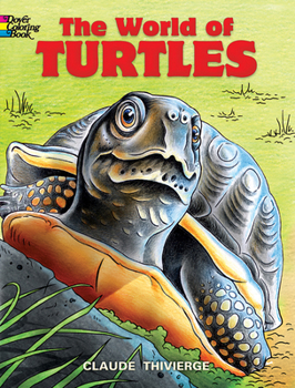 Paperback The World of Turtles Coloring Book