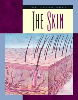 Library Binding The Skin Book