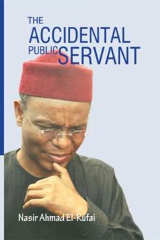 Paperback The Accidental Public Servant Book