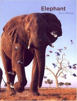 Hardcover Elephant Book