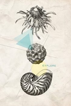 Explore: A vintage inspired journal for travelers and explorers (Vintage Geometric Design Notebooks)