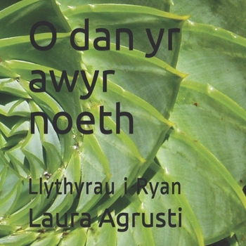 Paperback O dan yr awyr noeth: Llythyrau i Ryan [Welsh] Book