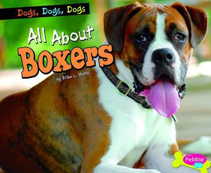 Hardcover All about Boxers Book