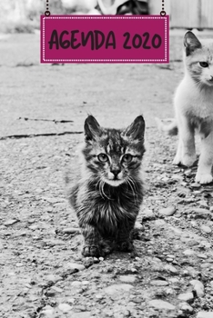Agenda 2020: Hebdomadaire 1 Semaine par page Format A5 | Janvier 2020 à Décembre 2020 | Planificateur Organiseur Semainier avec Calendrier et Carnet ... Pour les Amoureux des Chats (French Edition)