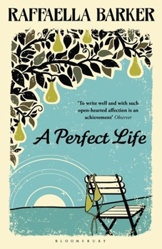 Paperback A Perfect Life Book