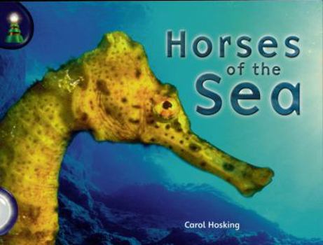 Paperback Lighthouse White: Horses of the Sea (6 pack) Book