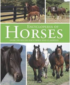 Horses - Book  of the World's Smartest Animals