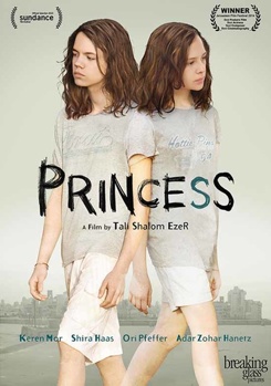 DVD Princess Book