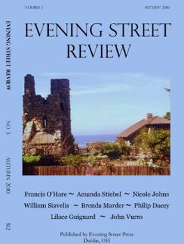 Perfect Paperback Evening Street Review No. 3 Book