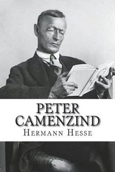 Paperback Peter Camenzind [German] Book