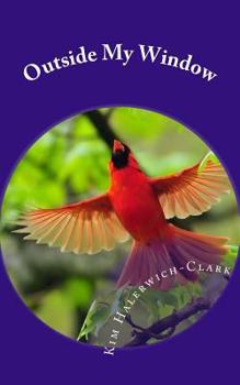 Paperback Outside My Window: Finding true meaning in your life Book