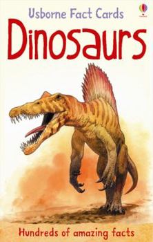 Cards Dinosaurs (Usborne Fact Cards) by Clarke, Phil (2011) Cards Book