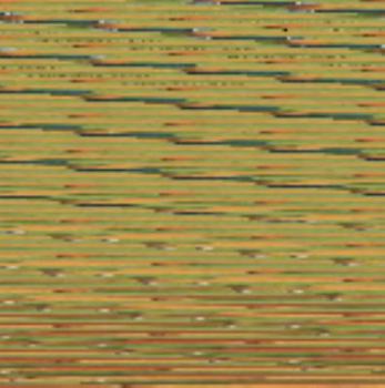 Paperback Catch and Release: A Fezzy Wog Adventure Book