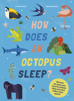 Hardcover How Does an Octopus Sleep?: Discover the Ways Your Favorite Animals Sleep Book