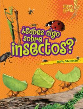 Do You Know about Insects?