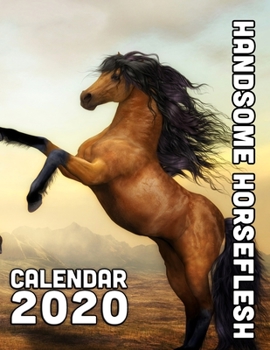 Handsome Horseflesh Calendar 2020: 14 Month Desk Calendar for Lovers of Our Equine Friends and Partners