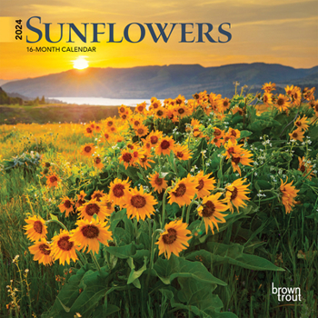 Calendar Sunflowers 2024 Mini 7x7 Book