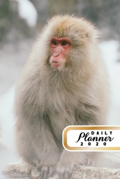 Paperback Daily Planner 2020: Monkey Lover 52 Weeks 365 Day Daily Planner for Year 2020 6x9 Everyday Organizer Monday to Sunday Nature Enthusiast An Book