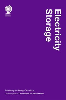 Hardcover Electricity Storage: Powering the Energy Transition Book