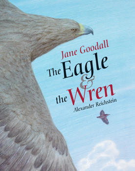Hardcover The Eagle & the Wren Book