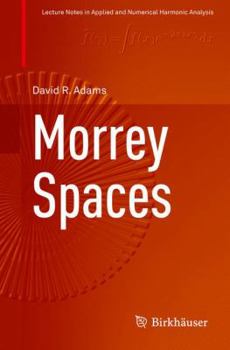 Paperback Morrey Spaces Book