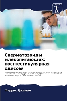 Сперматозоиды млекопитающих: посттестикулярная одиссея: Изучение гликопротеинов придаточной жидкости макаки-резуса (Macaca mulatta)