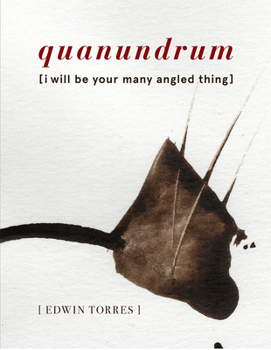 Paperback Quanundrum: [I Will Be Your Many Angled Thing] Book