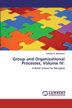 Paperback Group and Organizational Processes, Volume IV Book