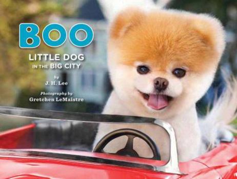 Hardcover Boo: Little Dog in the Big City Book