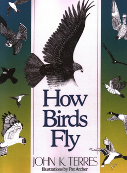 Paperback How Birds Fly Book