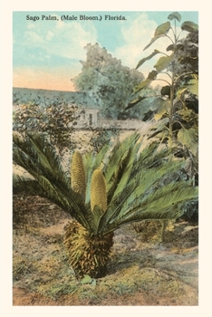 Paperback Vintage Journal Cycad, Sago Palm, Florida Book