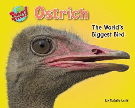 Ostrich: The World's Biggest Bird - Book  of the SuperSized!