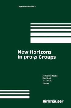 Paperback New Horizons in Pro-P Groups Book