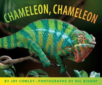 Hardcover Chameleon, Chameleon Book