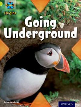 Paperback Project X Origins: Lime Book Band, Oxford Level 11: Underground: Going Underground Book