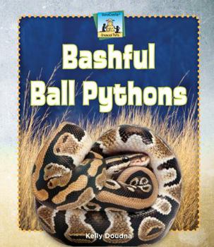 Library Binding Bashful Ball Pythons Book