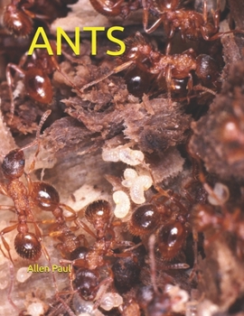 Paperback Ants Book