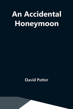 Paperback An Accidental Honeymoon Book