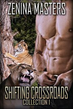Shifting Crossroads Collection 1 - Book  of the Shifting Crossroads