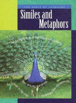 Library Binding Similes and Metaphors Book