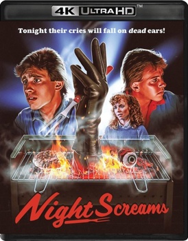 4K Ultra HD Night Screams Book