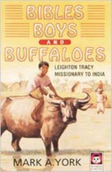 Paperback Bibles, Boys, and Buffalos Book