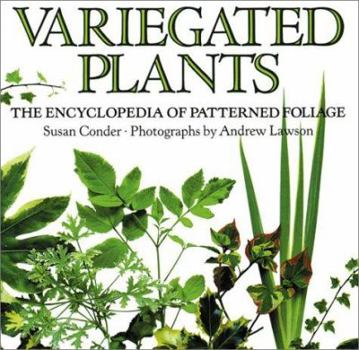 Paperback Variegated Plants: The Encyclopedia of Patterned Foliage Book