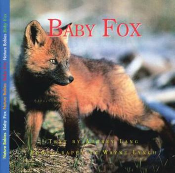 Paperback Baby Fox Book