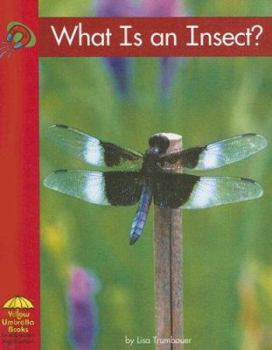 ¿Qué es un Insecto? / What is an Insect? - Book  of the Yellow Umbrella Books: Science ~ Spanish